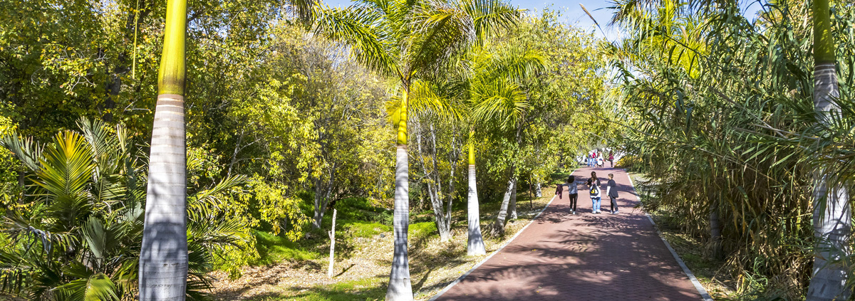 Un soplo de eternidad