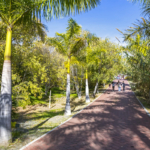 Un soplo de eternidad