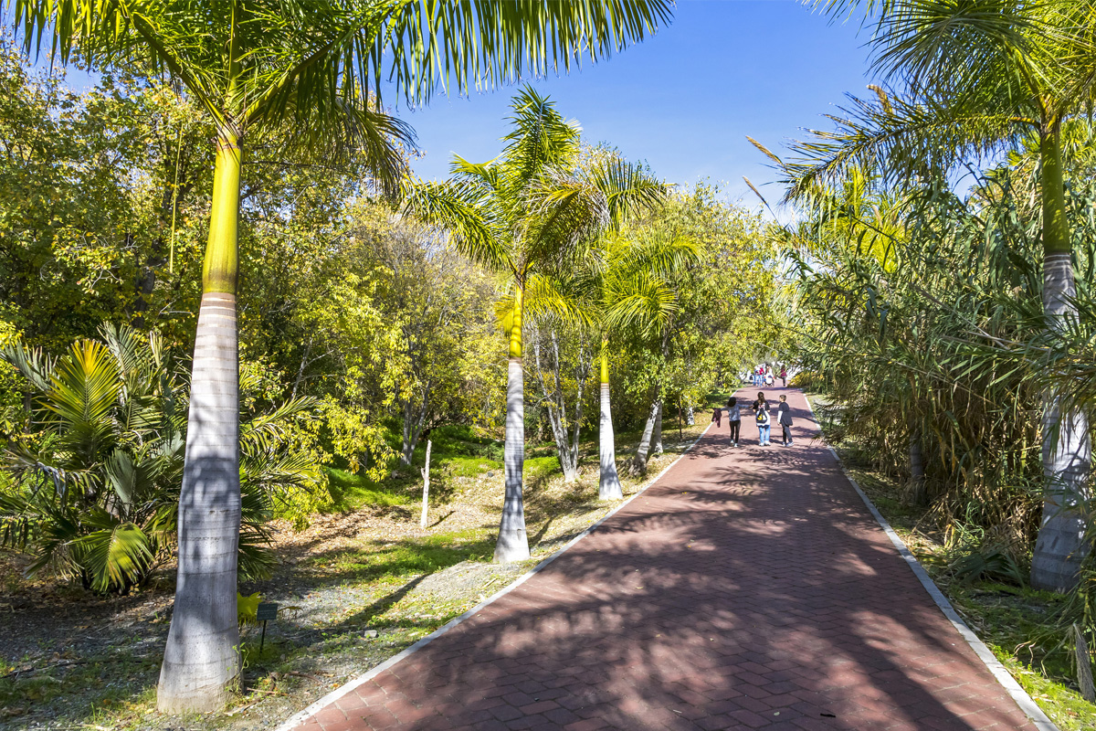 Un soplo de eternidad